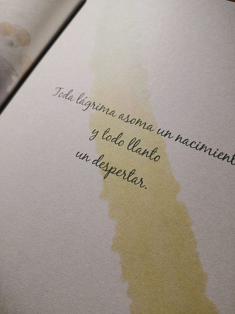 toda-lagrima.jpeg